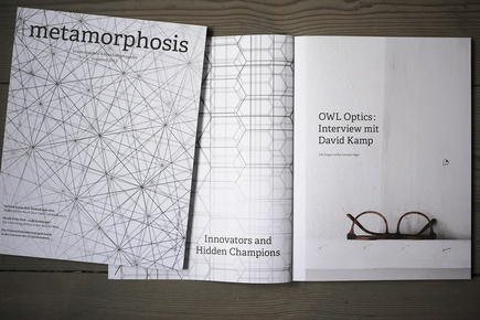 Owl Metamorphosis 2012 1